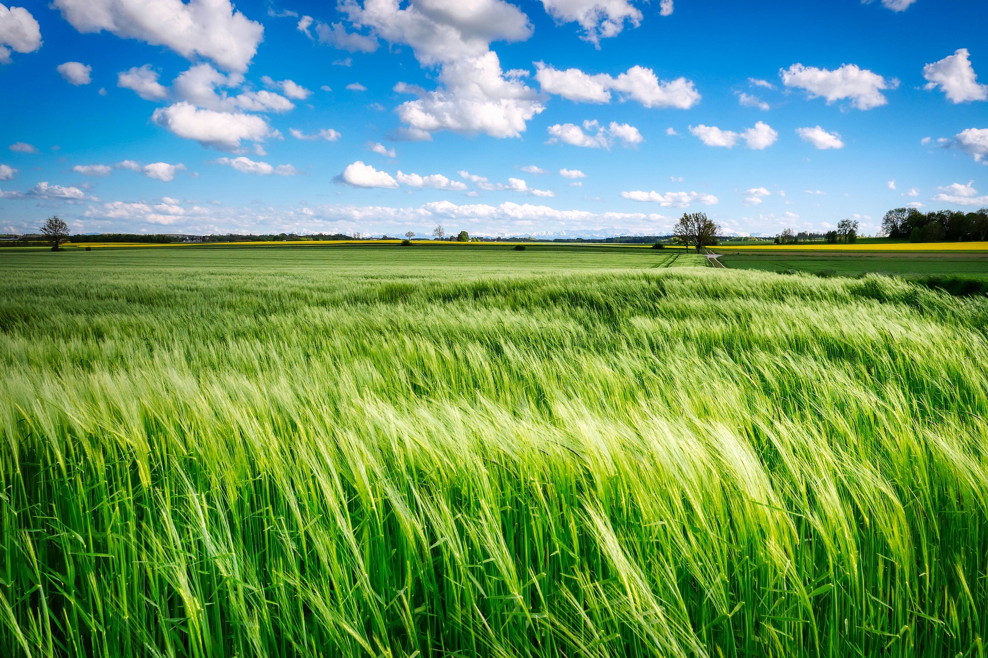 You are currently viewing Wirtschaft oder Landwirtschaft?