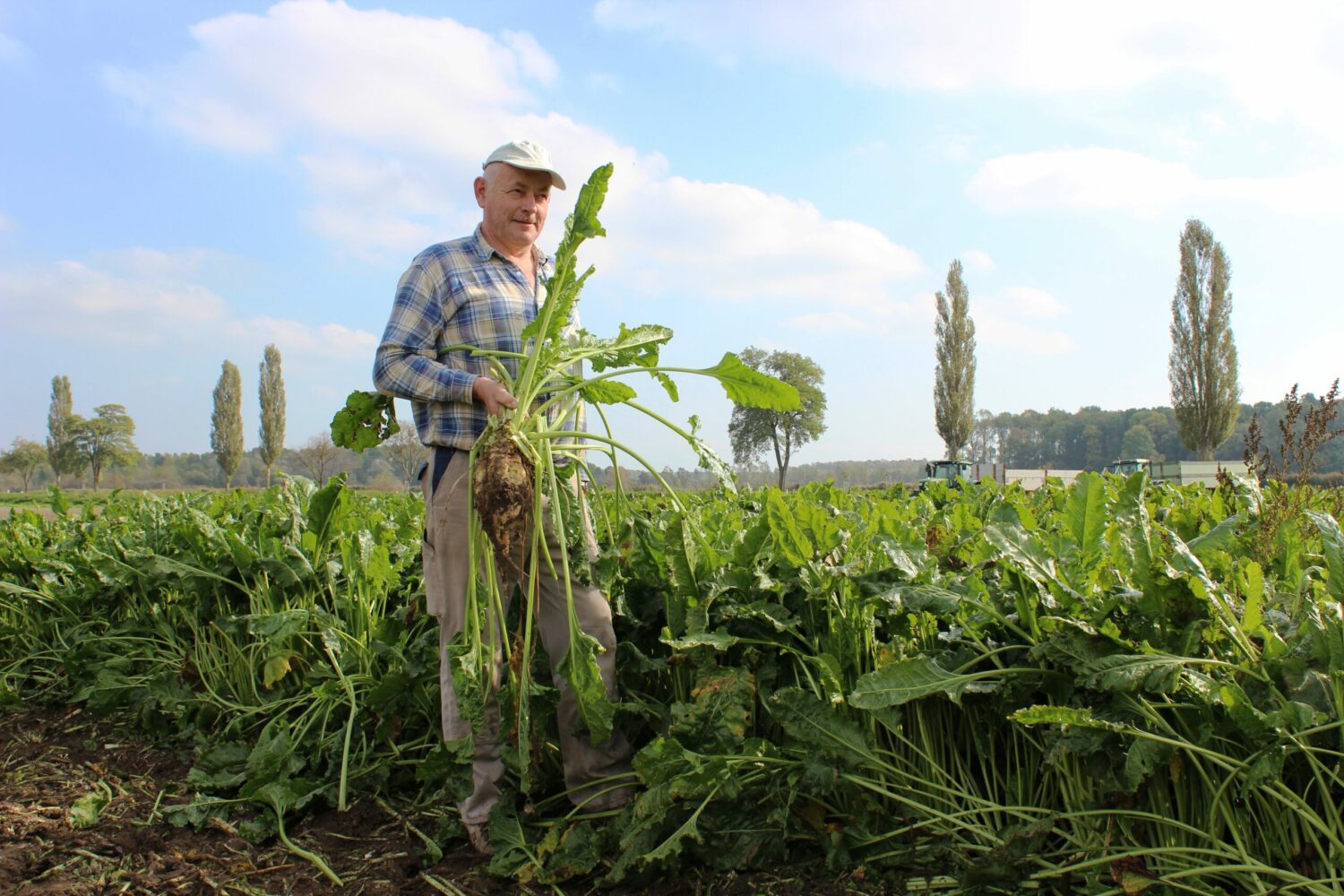 Read more about the article Wenn Grüne auf’s Land kommen. Teil 4.